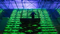 Петте най-големи криптоминьора изтриха 14 млрд. долара пазарна капитализация за 6 седмици