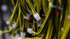 Стейбълкойните са големият криптогубещ в края на лятото