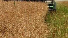 Орязването на бюджета за земеделие тласка фермерите към нови протести