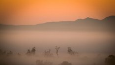 Европа рискува нова фалшива икономическа зора след коронавируса