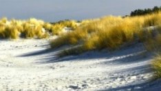 Правителството определи концесионери на четири морски плажа