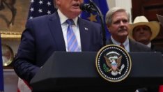 САЩ разширяват износа на говеждо месо в ЕС