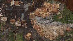 За какво се скараха Макрон и Болсонаро?