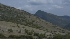 По Програмата за селските райони са подписани договори за 500 млн. лв.