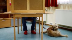 Изборите за нов местен парламент в Берлин започнаха