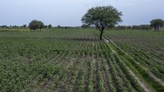 Агротуризмът разведрява перспективите пред дребните фермери в Албания