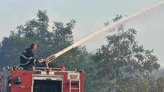 България продължава борбата с пожарите