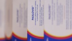 Европейската агенция по лекарствата одобри за употреба Covid хапчето на Pfizer