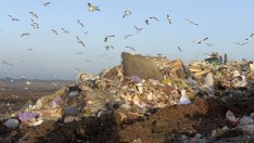 ЕК започва наказателна процедура срещу България заради определянето на такса смет