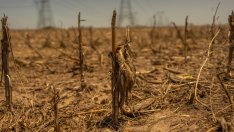 Светът постепенно губи земята, от която се нуждае, за да се изхранва