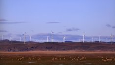 HP ще захранва центровете си за данни в Тексас със зелена енергия