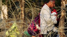 Графика на деня: България е одобрила почти всички кандидати за убежище през 2014