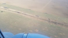 Бойко Борисов: „Балкански поток“ се строи с пълна мощност