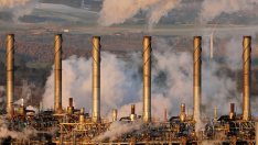 Анализатор: Ако производството на петрол не намалее, цените ще паднат още