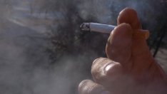 Меморандум срещу рекламата на цигари търси обществено съдействие срещу пушенето