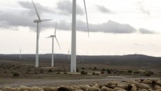 ЧЕЗ се отказа от разширяване на дейността си в Румъния