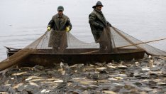 Договорените средства по Програмата за морско дело и рибарство вече са над 167 млн. лева