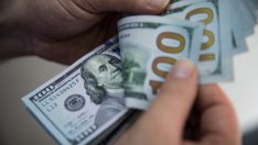 Защо доларът остава привлекателен и по време на кризата?