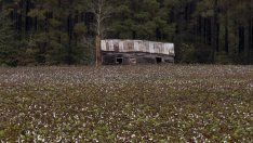 Искат отлагане на глобите за офшорни фирми с ниви за трети път