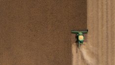 Защо българското зърно губи позиции на ключови пазари?