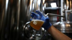 Пивоварите отчетоха 41 млн. лева инвестиции за 2017 г.