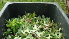 Съдът отмени начина на определяне на такса „смет“ в Габрово