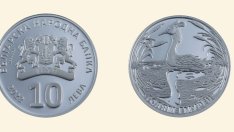 БНБ пуска в обращение сребърна възпоменателна монета „Голям гмурец“