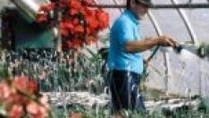 Пуска се остатъчният бюджет от 24 млн. евро за микробизнес в селските райони