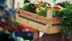 Износът на селскостопанска продукция от ЕС бележи рекорди през юни