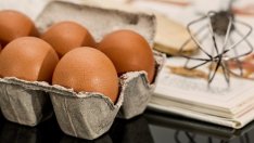 БАБХ затяга контрола над птицифермите заради фипронила