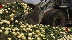 ЕС ще определи размера на компенсациите за фермерите на 22 юни