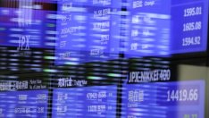 Пазарната капитализация на 10-те топ компании е равна на 12% от глобалния БВП