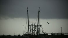 Петролни компании евакуират обектите си в Мексиканския залив заради ураганна буря