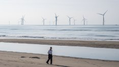 Вятърният сектор в Германия приветства правителствено финансиране на офшорни терминали