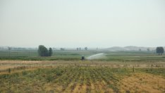 Върбанов: Инфраструктурата на поливното земеделие се нуждае от генерален ремонт