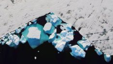 Бизнесът по-скоро ще спечели, отколкото ще загуби от климатичните промени