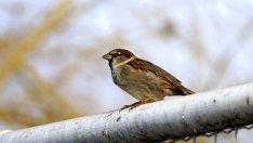 Общини ще изпълняват демонстрационни проекти за управление на отпадъците