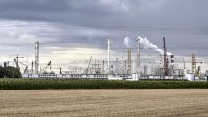 Източна Европа запълва работни места с мигранти от Индия и Пакистан