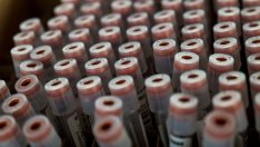 257 са новите установени случаи на Covid-19 в България