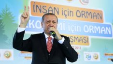 Турция и растящият брой дипломатически сблъсъци