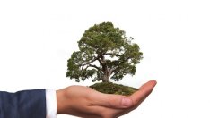 В Деня на екологичния дълг WWF призовава за нулеви емисии до 2040 г.