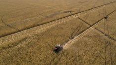 Нетният износ на аграрни стоки от България расте с 32% през първото полугодие