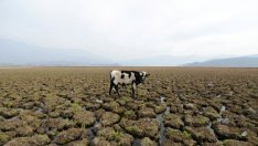 ООН: Емисиите на парникови газове достигат рекордни нива през 2018 г.