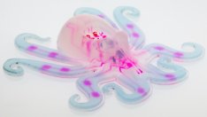 Учени от Harvard създадоха първия изцяло мек автономен робот