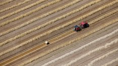 Хр. Бозуков: Не бива да се допуска "екзит" от Общата селскостопанска политика