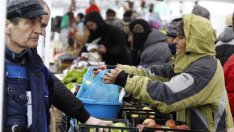 Нови правила срещу фалшивото сирене може скоро да влязат в сила