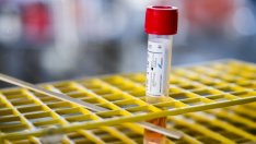 За две седмици омикрон вариантът може да се превърне в напълно доминиращ у нас