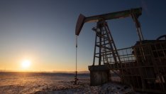 САЩ освобождават 50 млн. барела от петролните си резерви