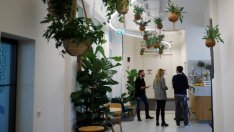 Пазарите очакват рекордни резултати от компанията майка на Google