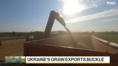 Украйна може да се раздели с половината от приходите си от експорт
